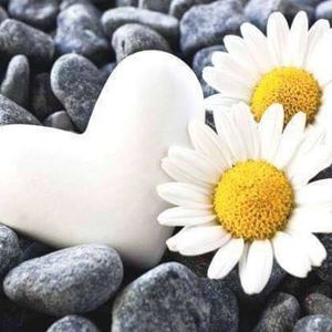 Meet your Posher, Belle an